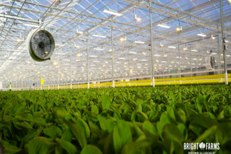 North Carolina high-tech greenhouse opened North Carolina high-tech greenhouse opened
