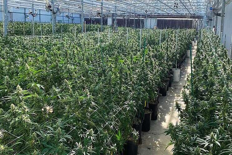 How you can keep regulators abreast on production methods How you can keep regulators abreast on production methods