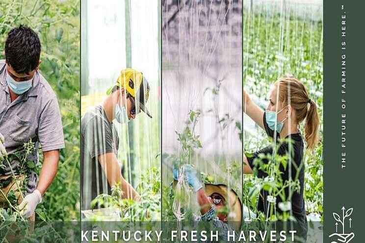 How the equitable food initiative steps up to the plate for growers How the equitable food initiative steps up to the plate for growers