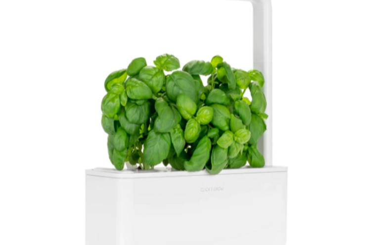 What is click & grow gardening? What is click & grow gardening?