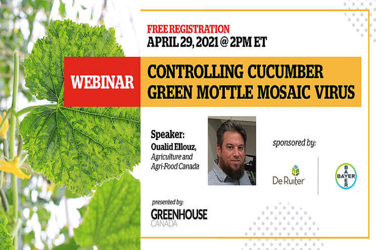 WEBINAR| Controlling cucumber green mottle mosaic virus WEBINAR| Controlling cucumber green mottle mosaic virus