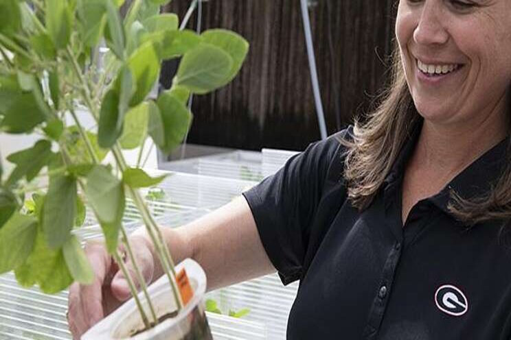 This farm grows nematodes This farm grows nematodes