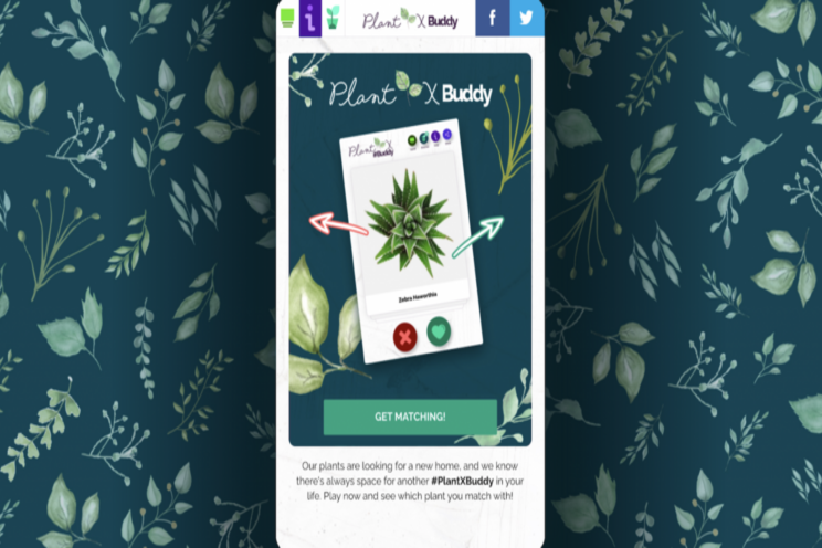 Online retailer launches plant-matching app Online retailer launches plant-matching app