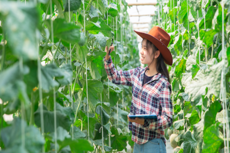 $22M cost-share program to adopt technology $22M cost-share program to adopt technology