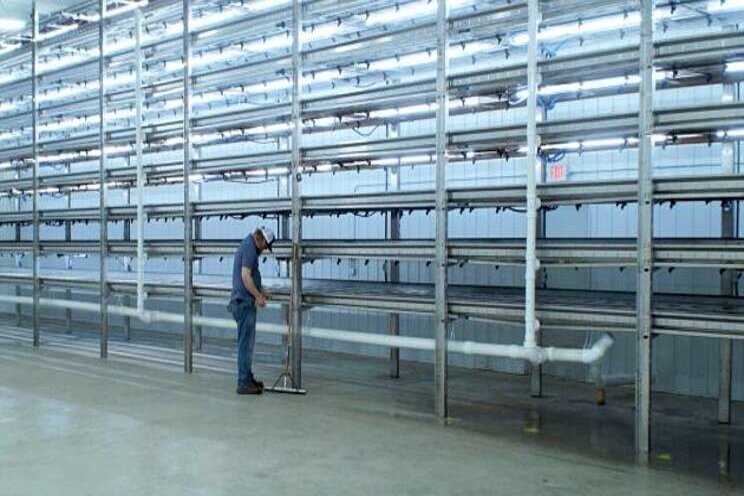 Award for vertical grow system of livestock feed Award for vertical grow system of livestock feed