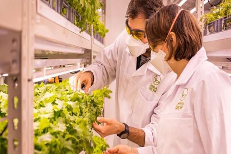 Is vertical farming the future of agriculture? Is vertical farming the future of agriculture?