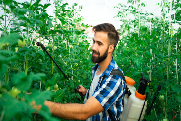 Controlled-release fertilizers 101 Controlled-release fertilizers 101