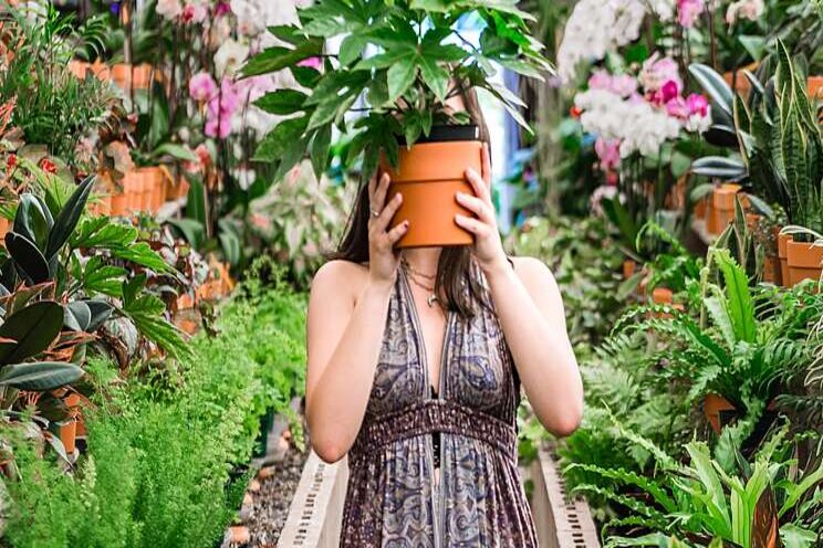 Why the houseplant industry is booming during COVID-19 Why the houseplant industry is booming during COVID-19
