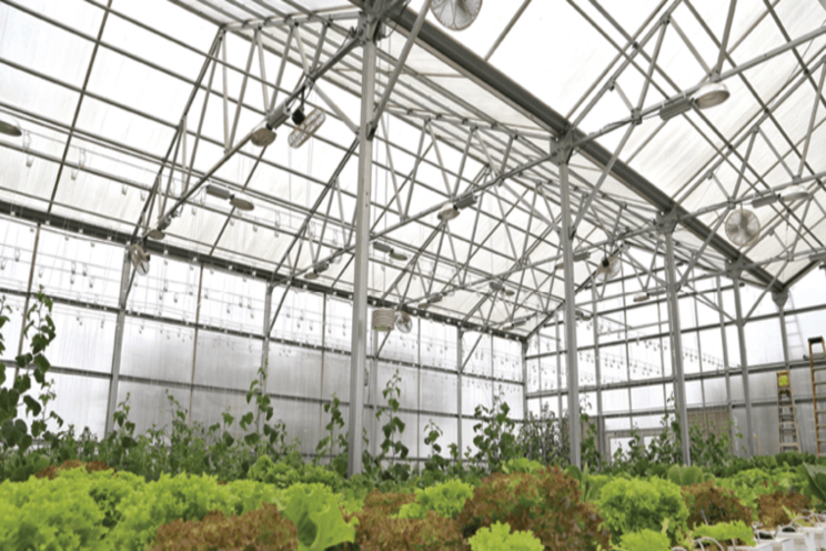 Creating a comprehensive lighting plan Creating a comprehensive lighting plan