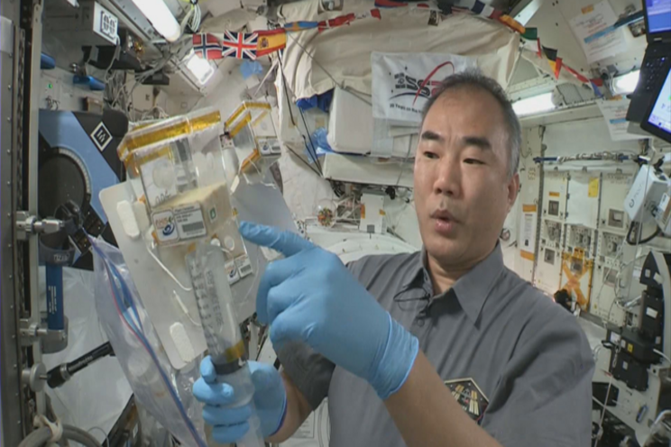The latest Space Station horti project taps 'just regular light' The latest Space Station horti project taps 'just regular light'