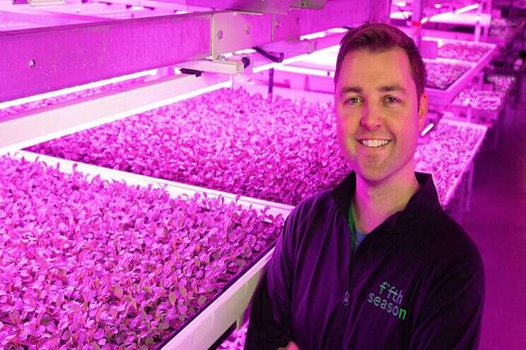 Can vertical farming be a viable method of CEA? Can vertical farming be a viable method of CEA?