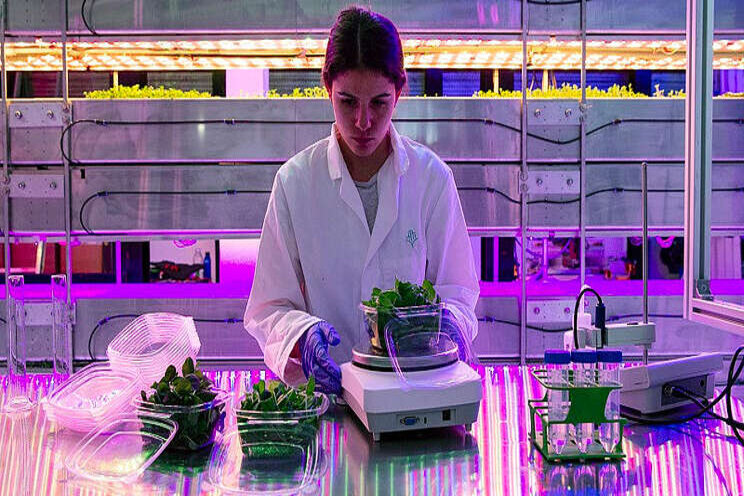 Vertical farm to launch in East Midlands Vertical farm to launch in East Midlands