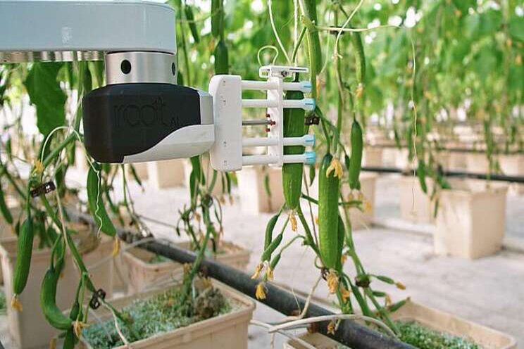 AppHarvest buys ag-robotics firm, Root AI AppHarvest buys ag-robotics firm, Root AI