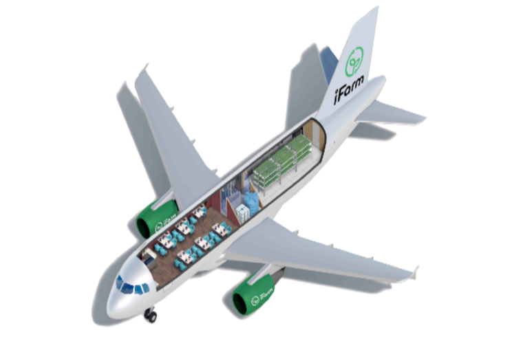 Vertical farming takes off! Vertical farming takes off!