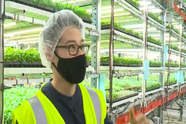 Kohr Explores: Vertical farming at Forward Greens Kohr Explores: Vertical farming at Forward Greens