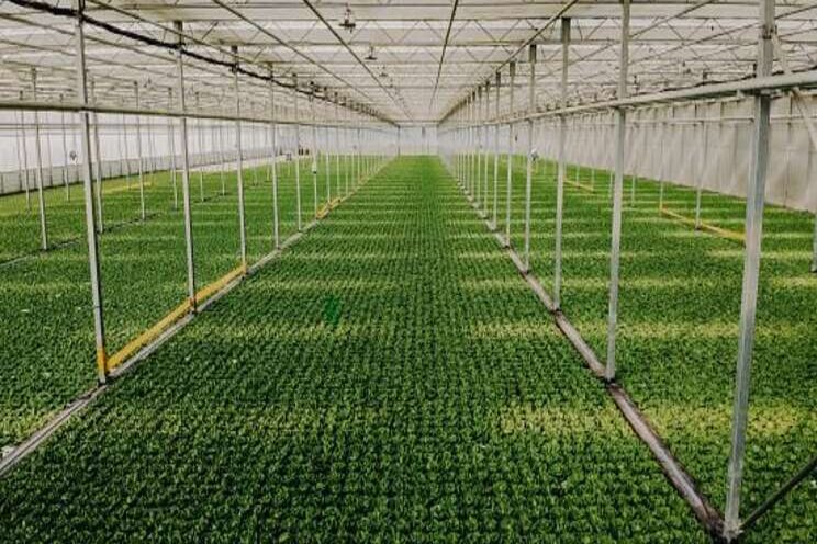 New software for cultivation management New software for cultivation management