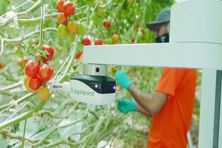 Greenhouse growing game changer AI Greenhouse growing game changer AI