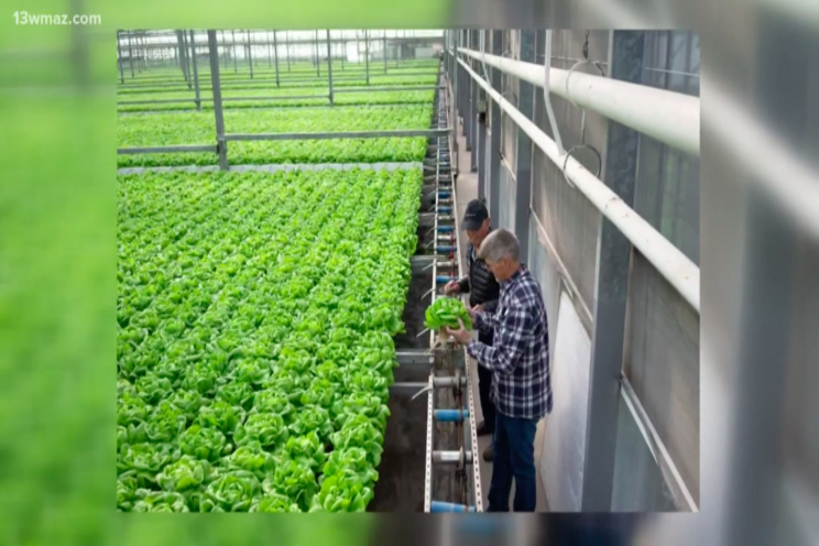 New $18M hydroponic greenhouse New $18M hydroponic greenhouse