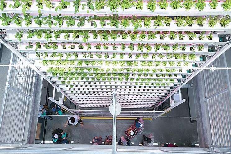 Continuing education: Urban agriculture Continuing education: Urban agriculture