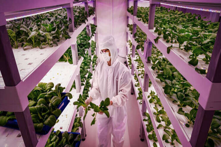 High-tech farming future? High-tech farming future?