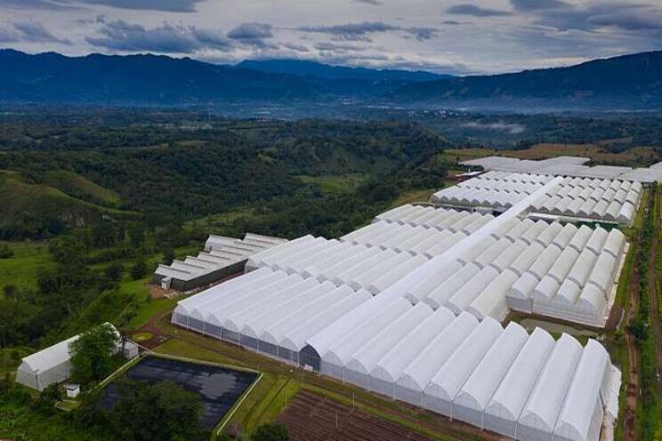 Danziger hits environmental certification milestone Danziger hits environmental certification milestone
