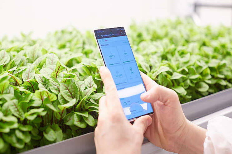 Vertical farm investors start to realize artificial light is expensive Vertical farm investors start to realize artificial light is expensive