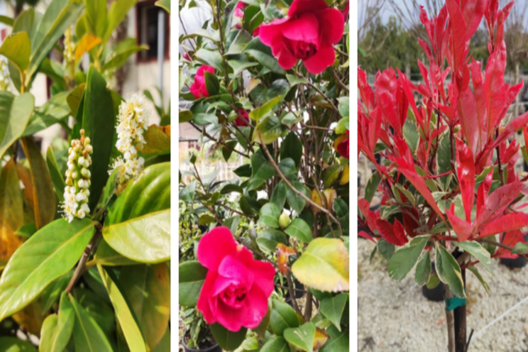 Spring brings an explosion of nature! Spring brings an explosion of nature!