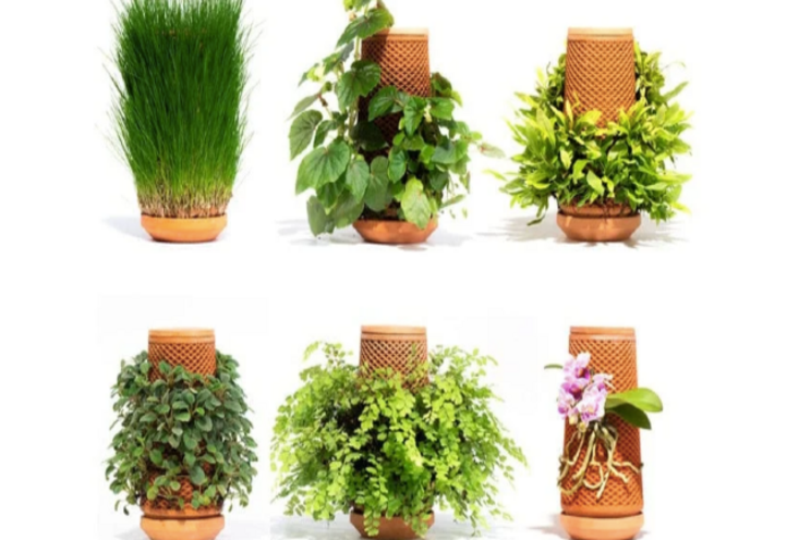 Unique indoor garden needs no soil Unique indoor garden needs no soil
