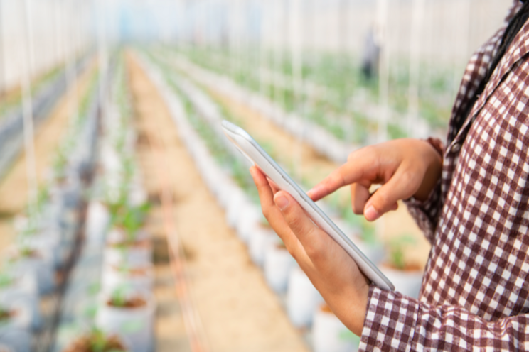 New greenhouse energy requirements New greenhouse energy requirements