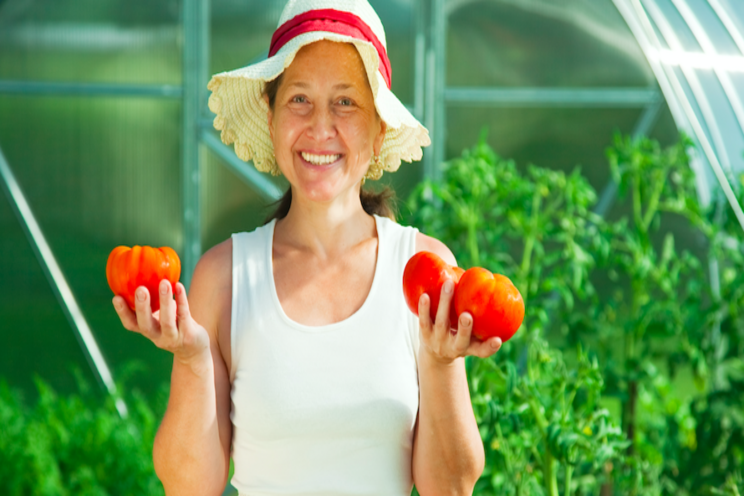 Tomatoes can be challenging to grow but it's worth it Tomatoes can be challenging to grow but it's worth it
