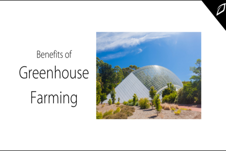 Benefits of greenhouse farming Benefits of greenhouse farming