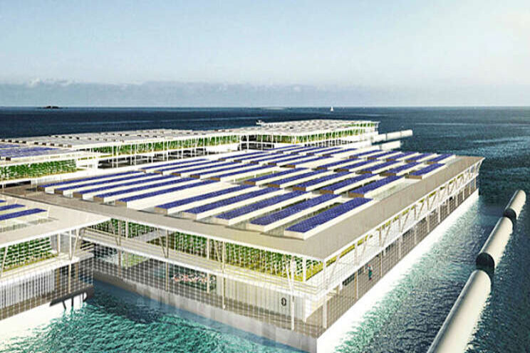 Solar-powered floating farms to produce veggies