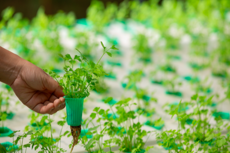 New products for sustainable indoor farming New products for sustainable indoor farming