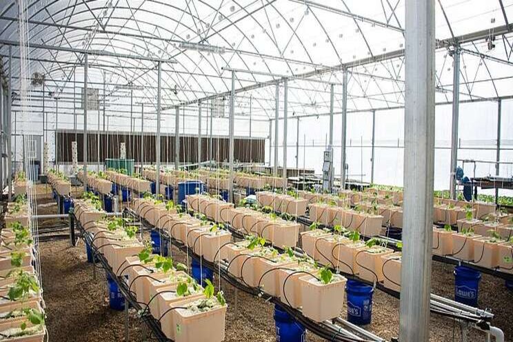 The next step in sustainable food production The next step in sustainable food production