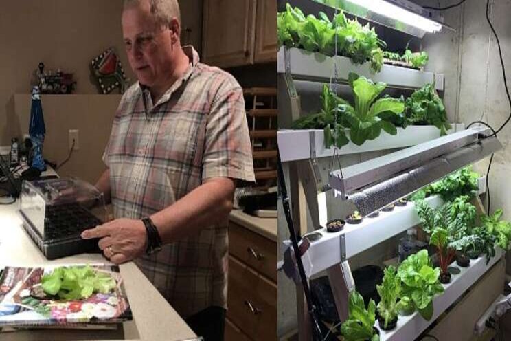 Hydroponics a growing trend for raising food year-round Hydroponics a growing trend for raising food year-round