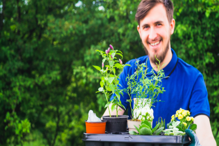 15-min of gardening to boost health, says horti charity 15-min of gardening to boost health, says horti charity