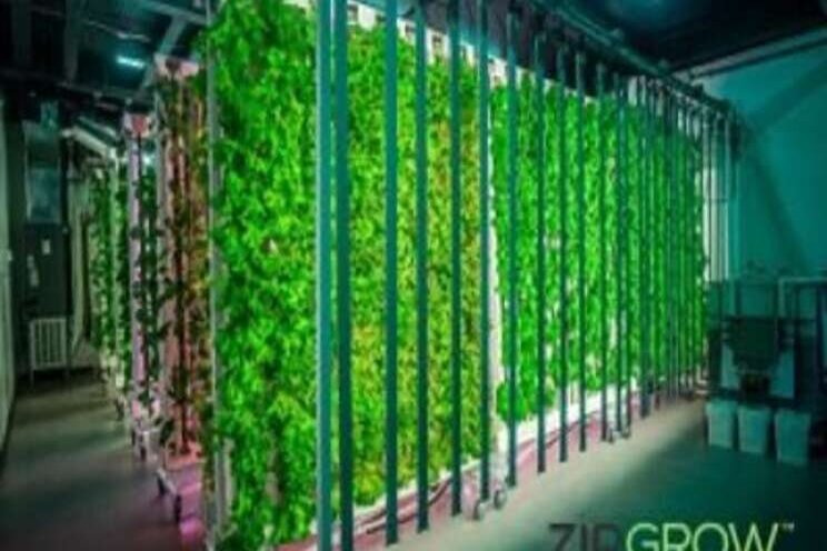 New sustainability partnership launched New sustainability partnership launched