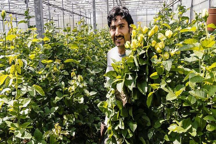 Quarantine program for temporary foreign workers Quarantine program for temporary foreign workers