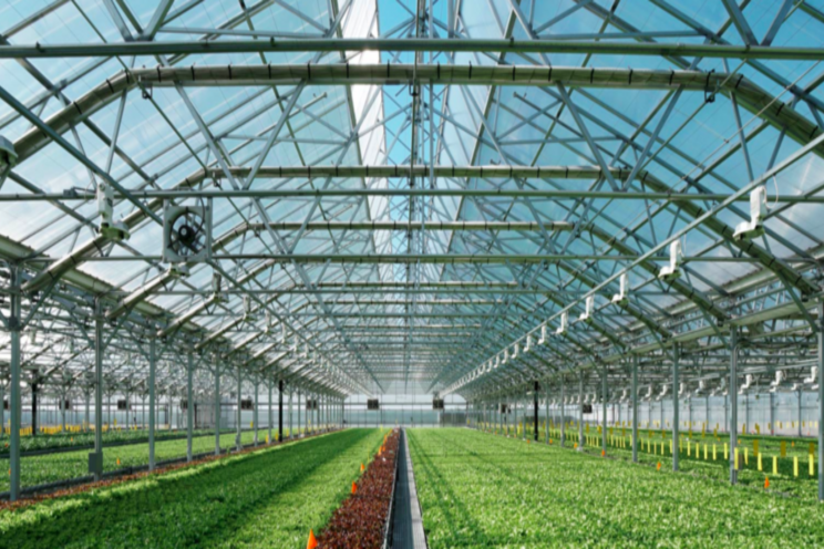 Gotham Greens heads West for both production and research Gotham Greens heads West for both production and research