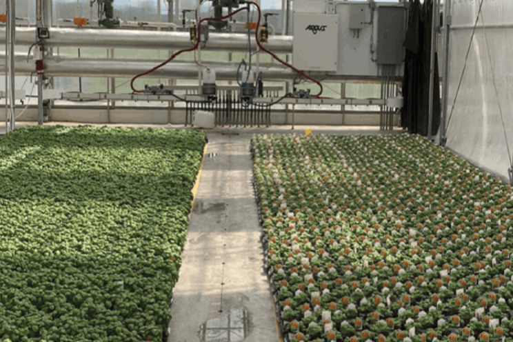 How large greenhouses can utilize environmental controls How large greenhouses can utilize environmental controls