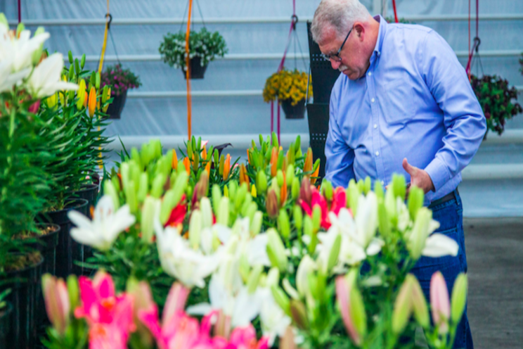 FlowerTrials® holds all options open for week 24 FlowerTrials® holds all options open for week 24