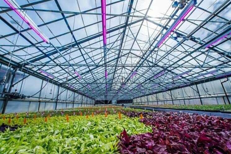 3 factors to consider before upgrading your lighting 3 factors to consider before upgrading your lighting