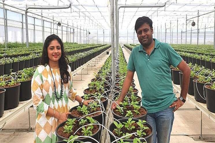 HiTech farm can produce upto 8000 Kgs of veggies per day HiTech farm can produce upto 8000 Kgs of veggies per day