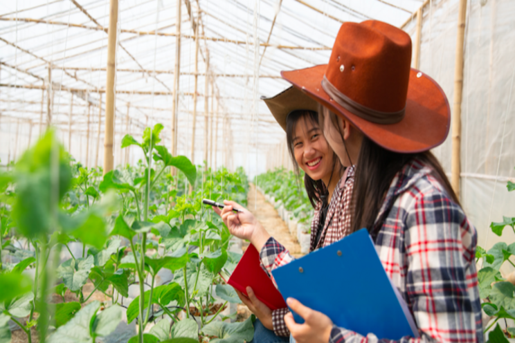 Ten ground rules for growing Ten ground rules for growing