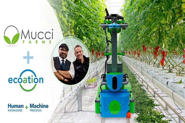 Mucci Farms to collaborate on research with ecoation Mucci Farms to collaborate on research with ecoation