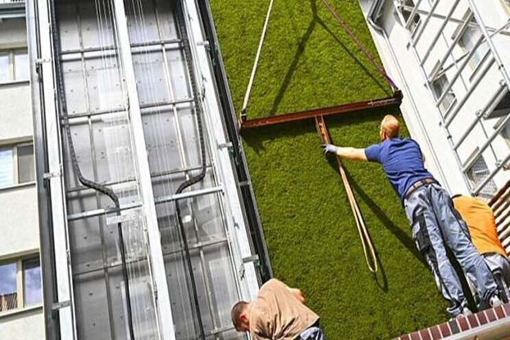 Green walls for fighting climate change Green walls for fighting climate change