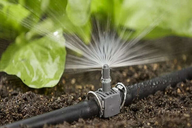 Subsidies for the introduction of water-saving irrigation tech Subsidies for the introduction of water-saving irrigation tech