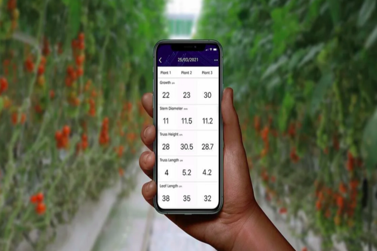 Moving tomatoes into next-gen tech Crop Registration Moving tomatoes into next-gen tech Crop Registration
