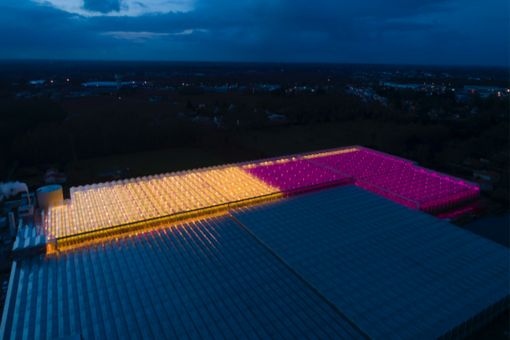 Hortilux launches new HORTILED Top fixtures Hortilux launches new HORTILED Top fixtures