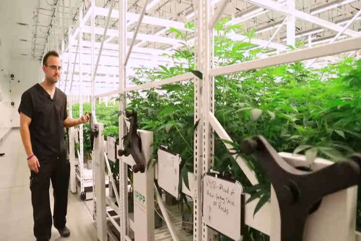 Pipp Horticulture acquires Vertical Air Solutions Pipp Horticulture acquires Vertical Air Solutions